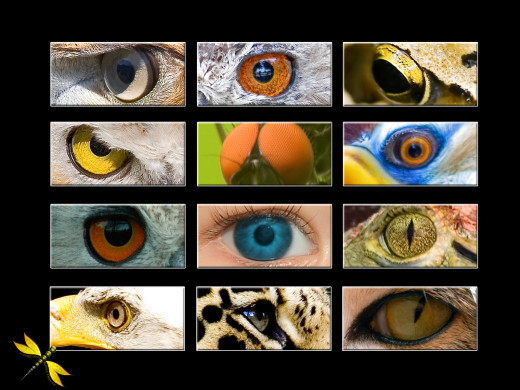 398756 (a): :1600x1200